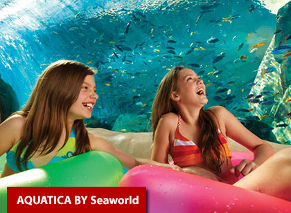 SeaWorld Two Park Ticket 